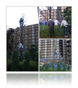 20111126クリスマスツリー飾り付け