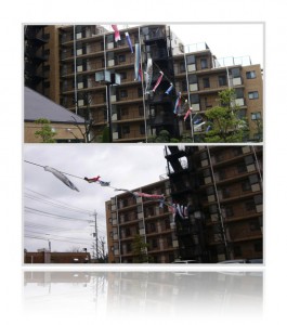 20120421鯉のぼり