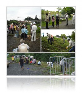20100619大西公園の駐車場側草刈りボランティア