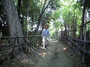 20090501竹やぶ整備