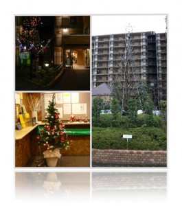20091129クリスマスイルミネーションの飾り付け