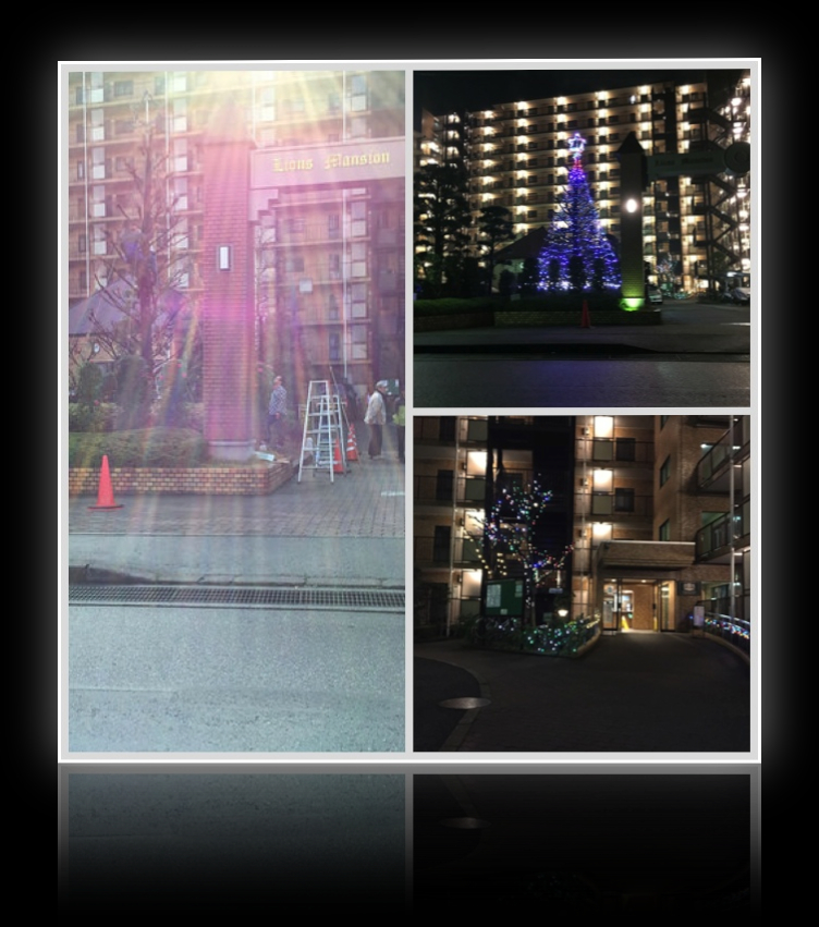 2014年11月30日クリスマスツリー飾り付け