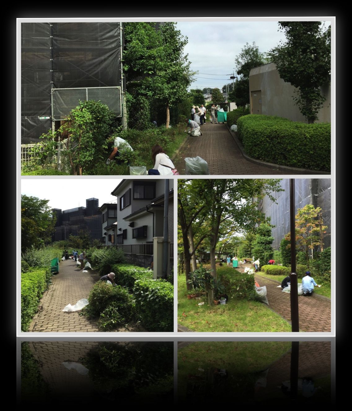 2015年10月3日秋の草取り大会