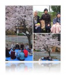 20100411花見