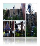 20121201クリスマスツリー飾り付け