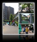 2004年05月30日春の草取り