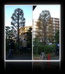 2004年11月27日クリスマス飾り付け