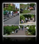 2005年05月29日春の草取り大会