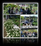 2006年05月03日浅沼ガーデン