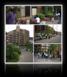 2006年06月04日春の草取り大会