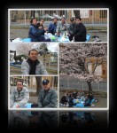 2007年03月31日花見