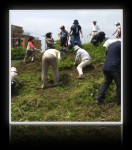2008年06月07日草刈りボランティア