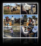 2009年01月17日餅つき大会その1