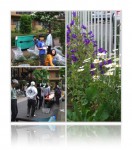 20100529春の草取り大会