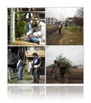 20101230年末年始飾り