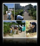 2005年10月02日秋の草取り大会