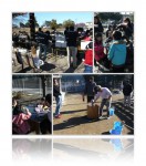 20100116餅つき大会