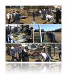 20100116餅つき大会その2