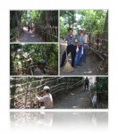 20100505竹やぶ道路、整備ボランティア