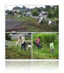 20110618ボランティア草刈り