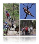 20120423野鳥観察会(バードウォッチング)