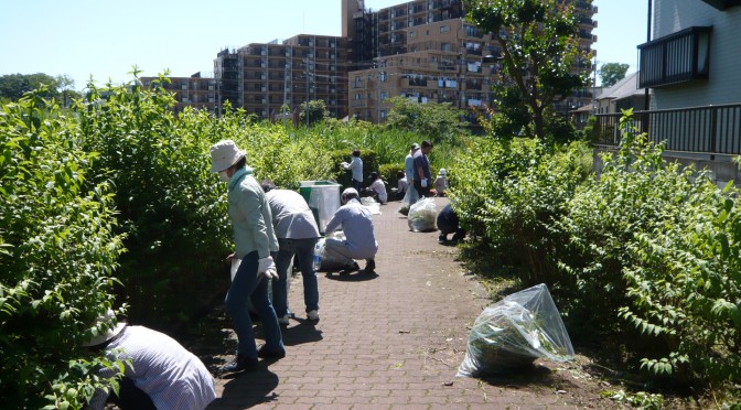 春(夏?)の草取り大会が開催されました。